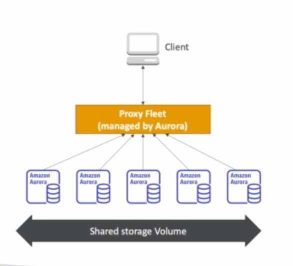 aws aurora serverless free tier
